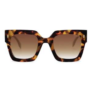 Tortoise frame